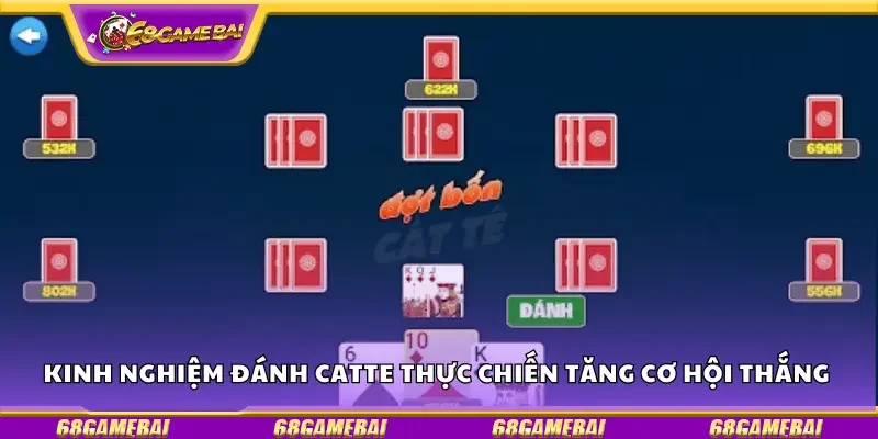 Kinh nghiệm đánh Catte thực chiến tăng cơ hội thắng 